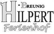hilpert-hoepfingen.de