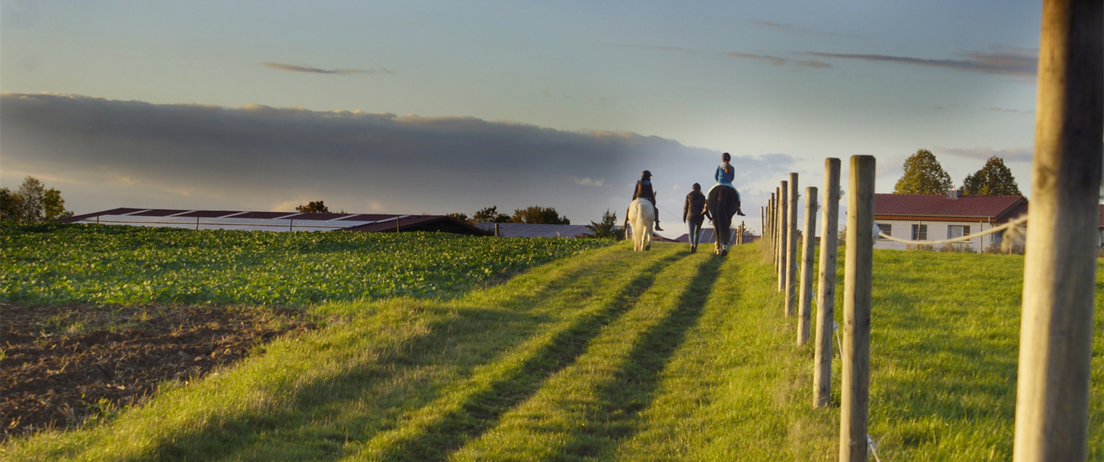 Reiten